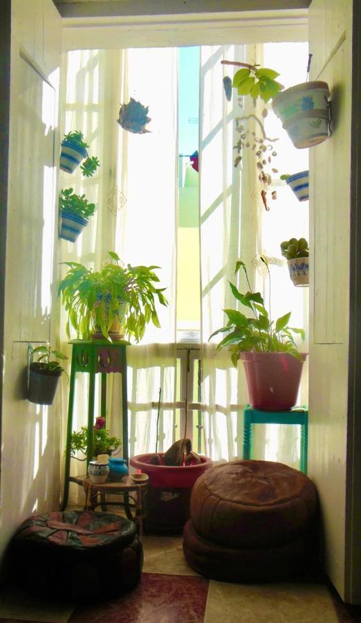 Habitaciones La Pepa カディス エクステリア 写真